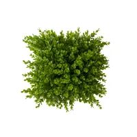 Wallpaper Model of the Green Wall Model 25 x 25cm Pack 4