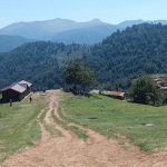 Wooden houses in the Olsbalgan.