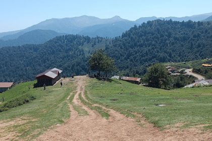 Wooden houses in the Olsbalgan.