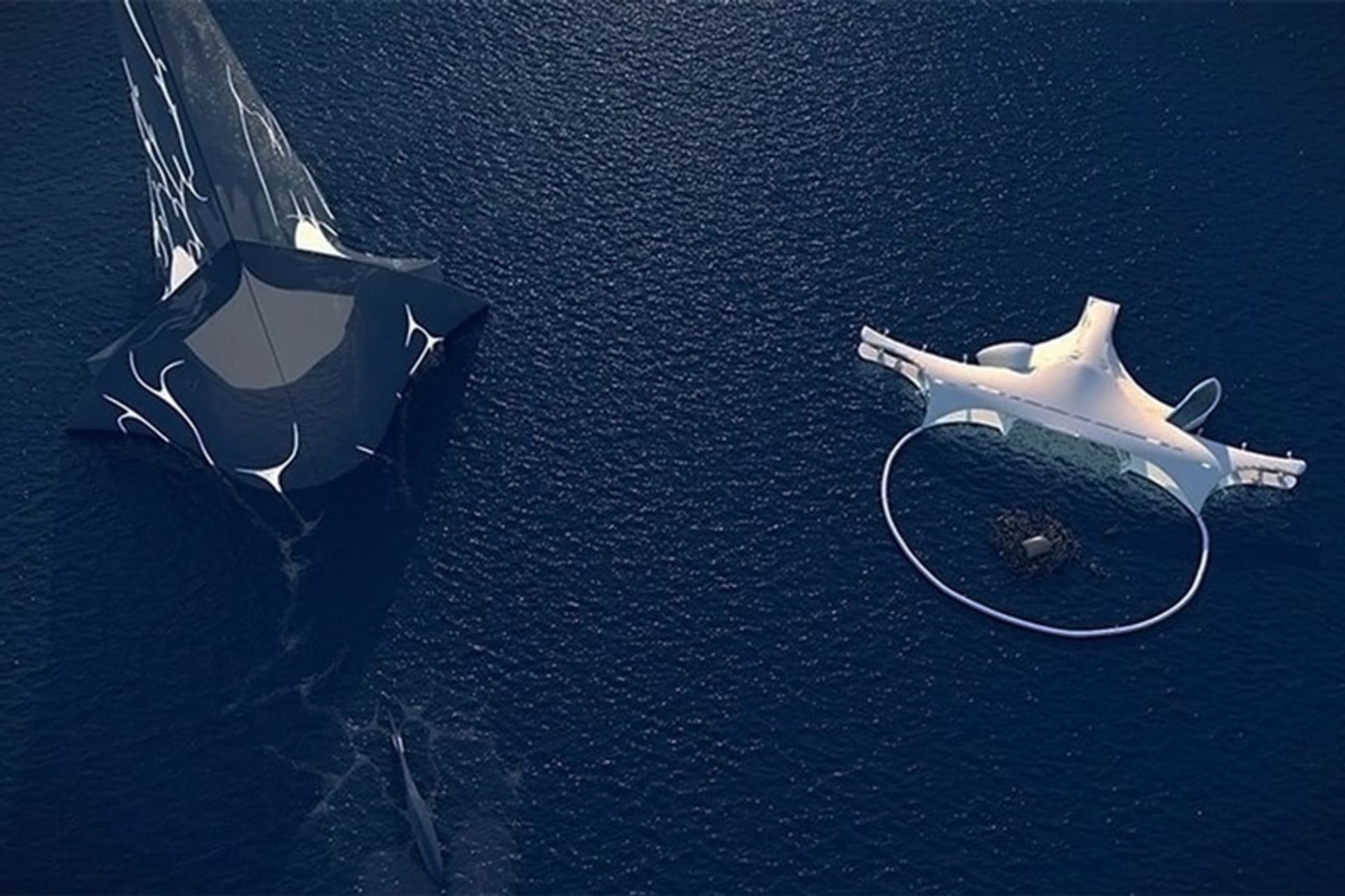 Ocean cleansing with capsules