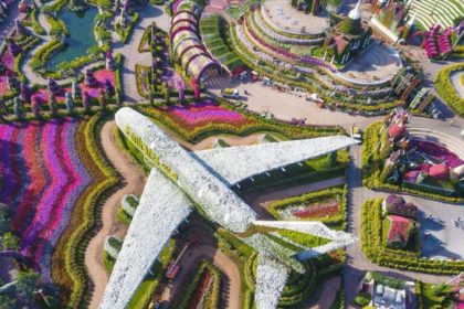 Aerial image of Dubai's miracle flower garden