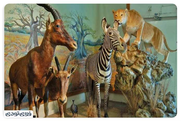 Roya Park Tehran Darabad Museum of Nature and Wildlife