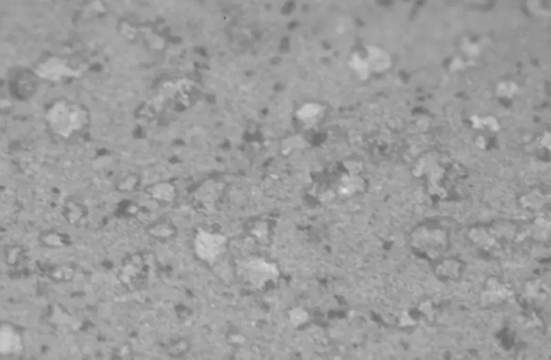 Near Facade of Leopard Spots in Martian Sheng Cascade Chiava