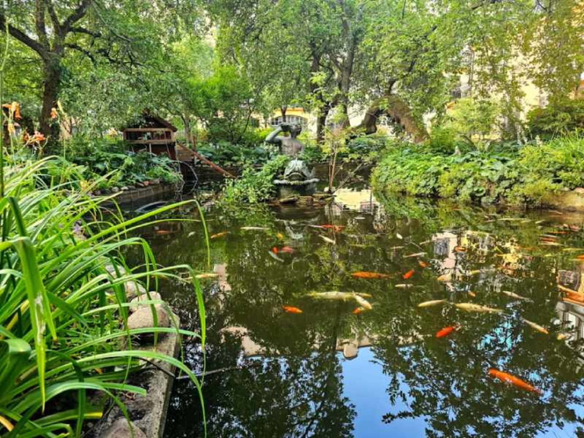 The lush nature of the Central Badat Stockholm Garden