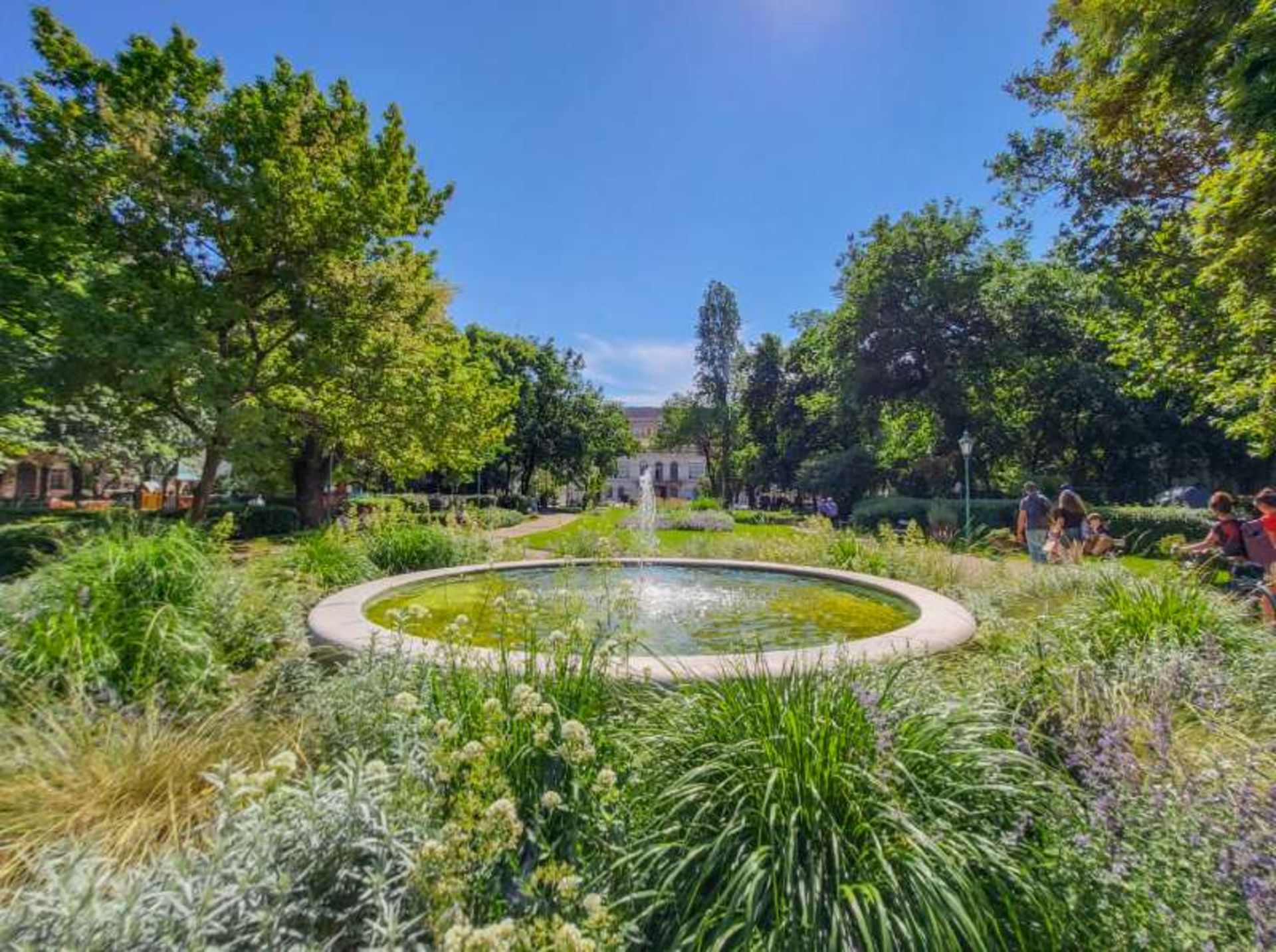 The lush nature of the Budapest Caroli Garden