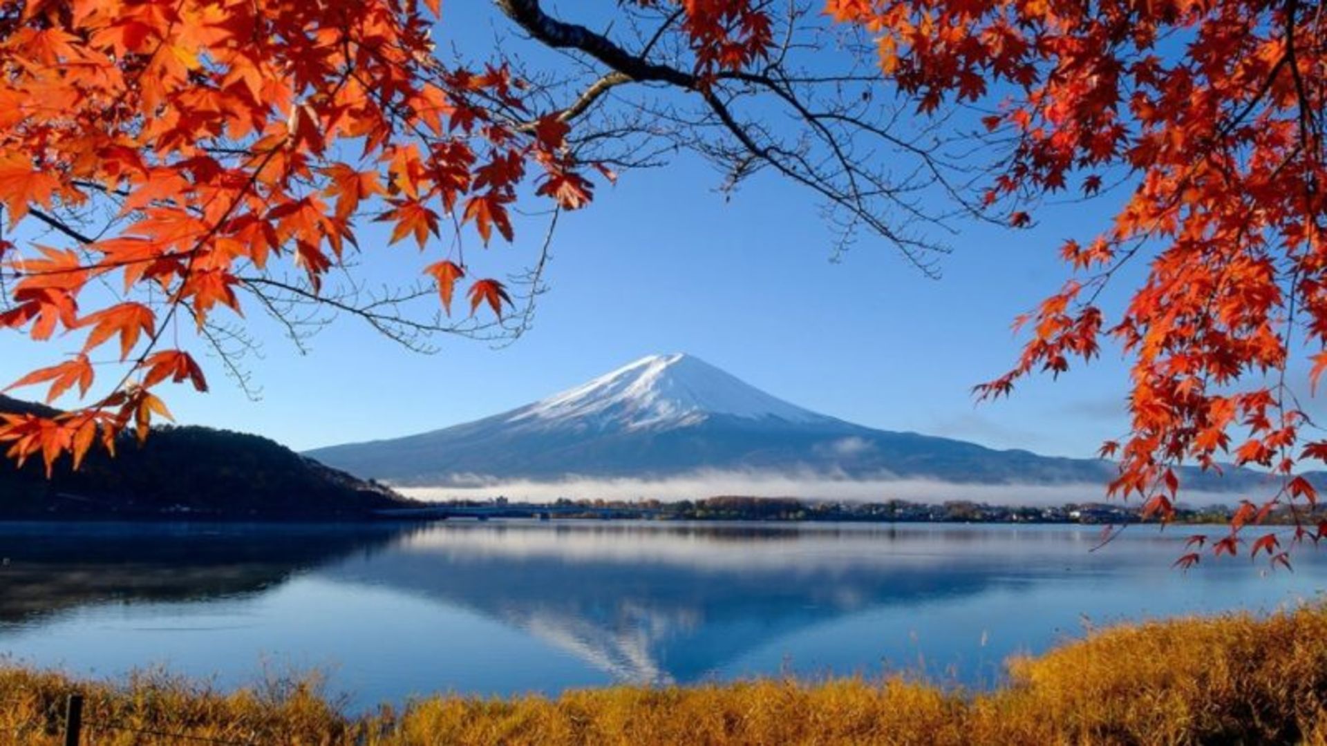 Fuji Mountain landscape on Lake Kavagchi