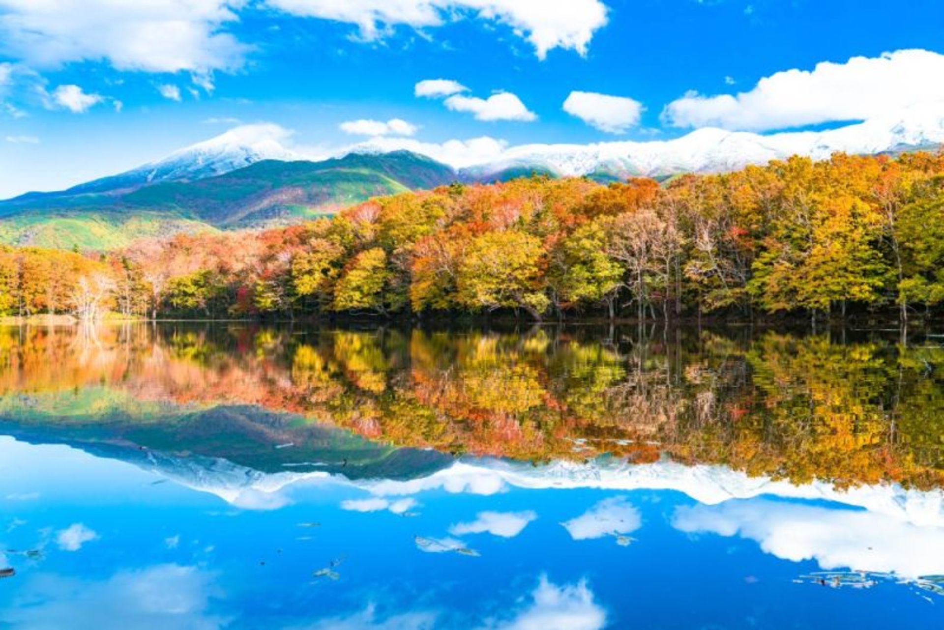 Reflection of colorful autumn trees in water in Shrubko National Park, Japan