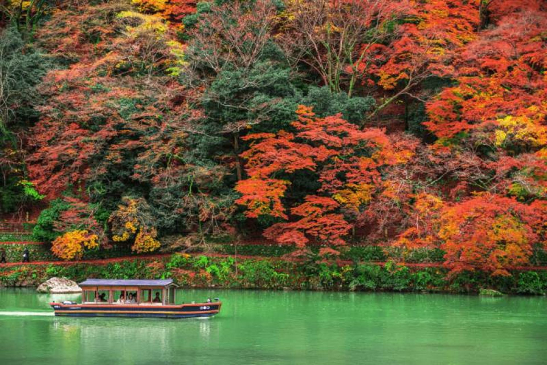Tourists in the boat watching the autumn nature of Arashiama area of Japan