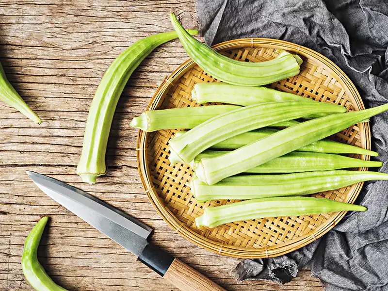 Okra properties for cartilage