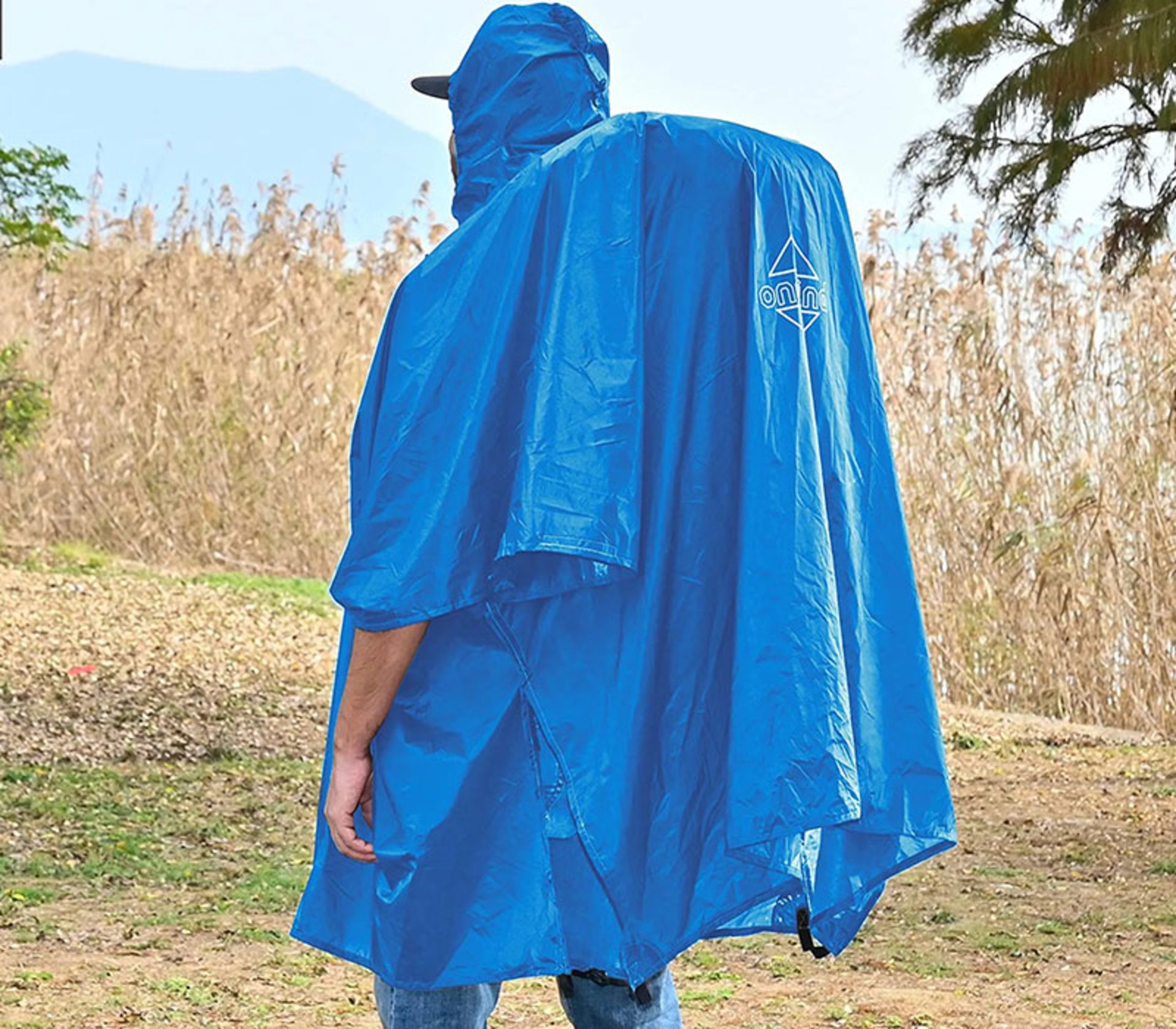 Puncho Blue on a trip north in the fall