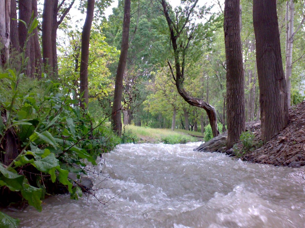 E: \ safarmarket \ Golmkan 3.jpeg