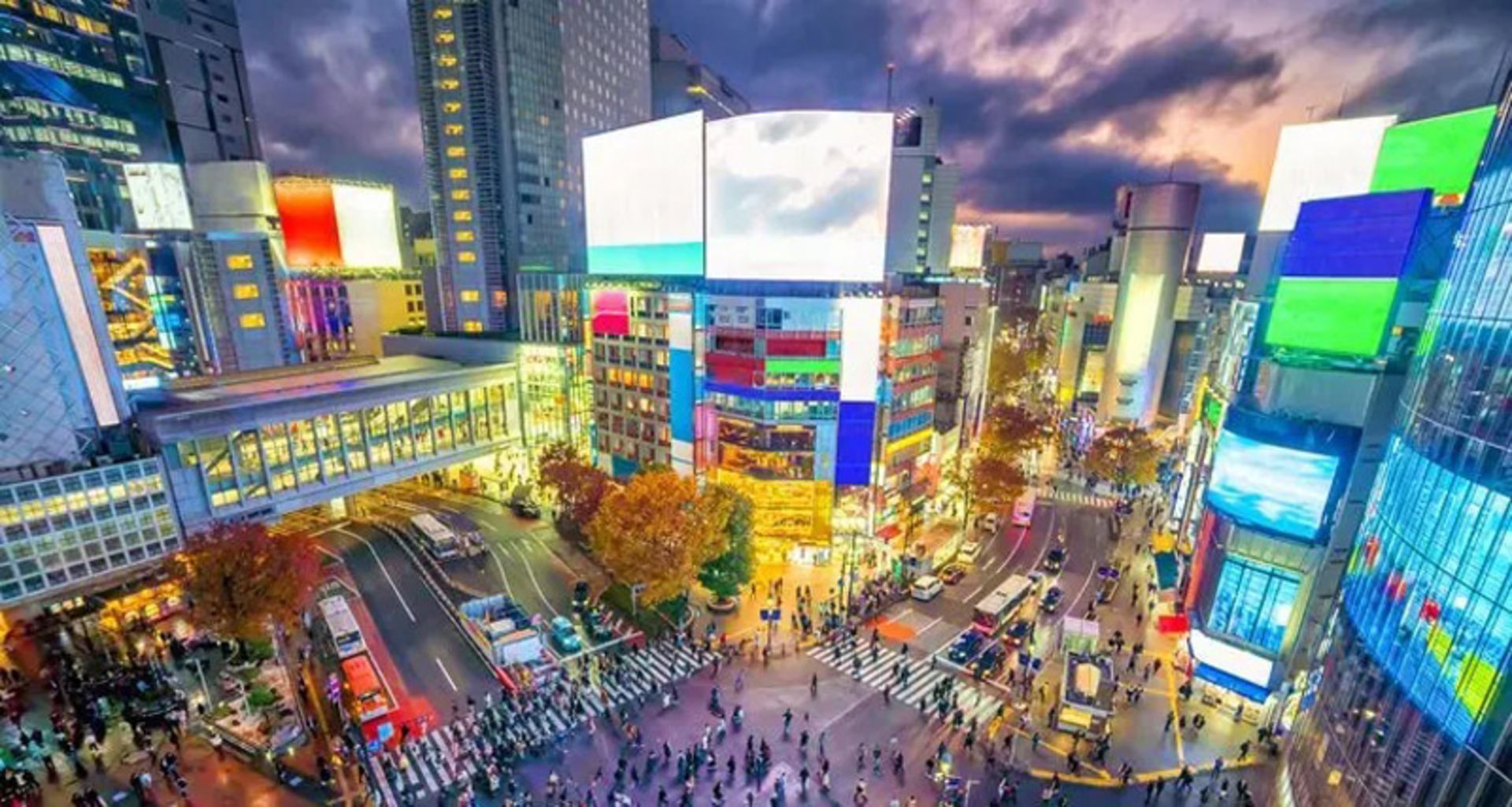Tokyo at night from the top view with bright buildings