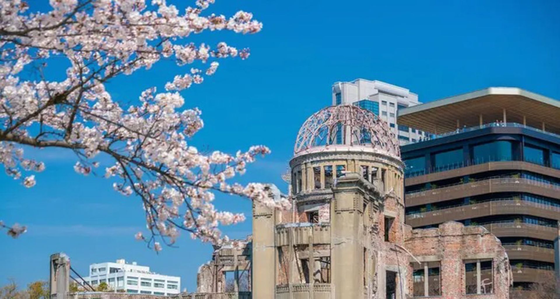 Hiroshima Peace Building alongside cherry blossoms