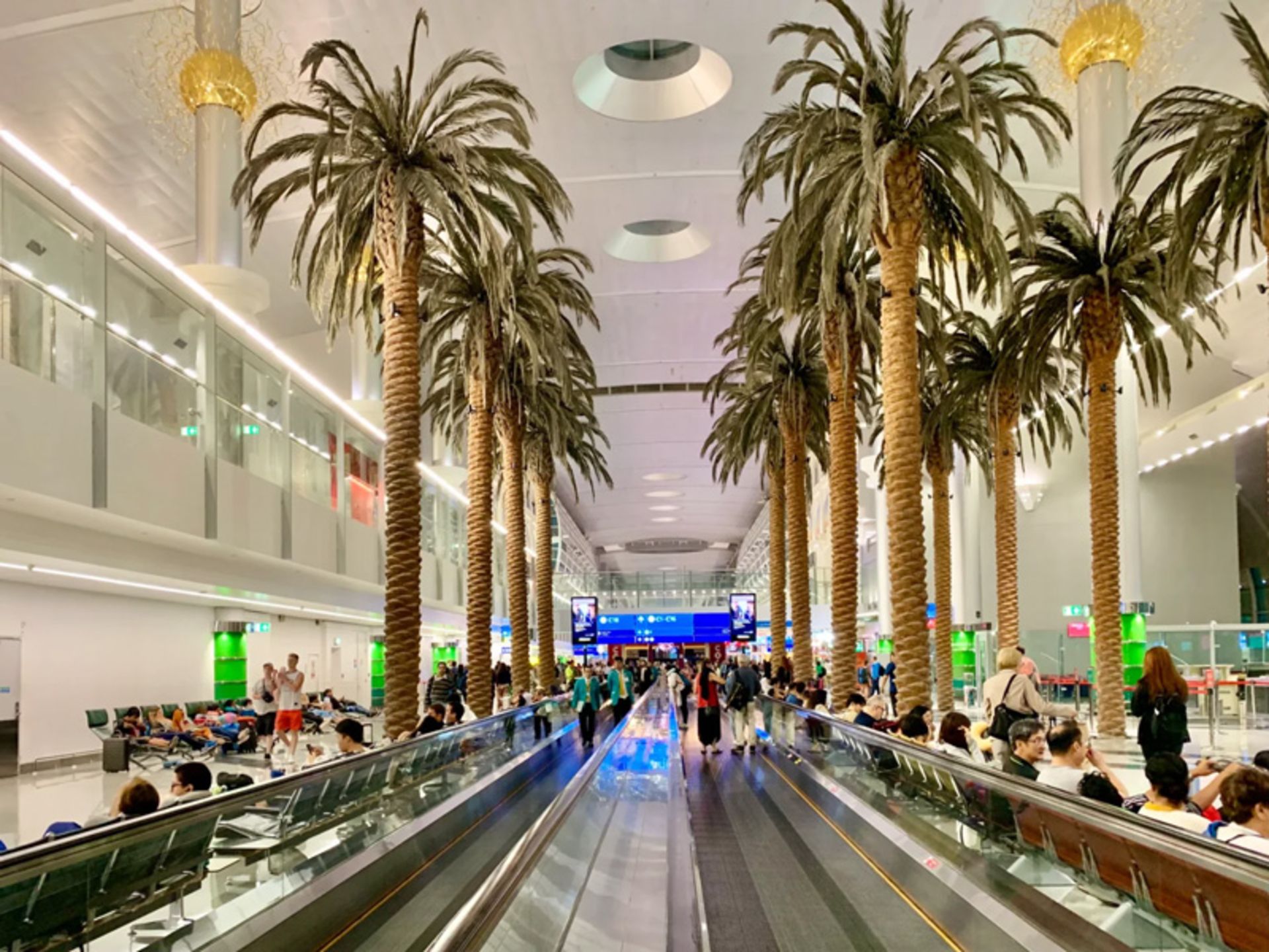 Palm trees at Dubai Airport