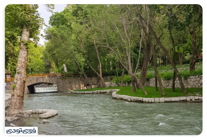 Vakil Abad Forest Park