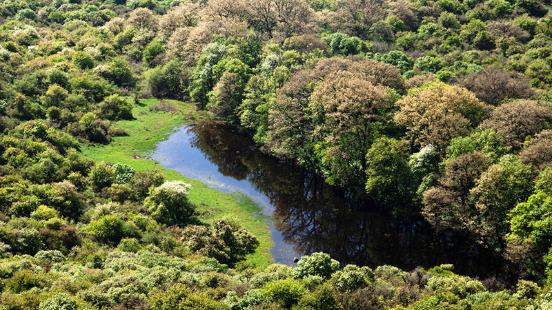 The best safari destinations in Iran