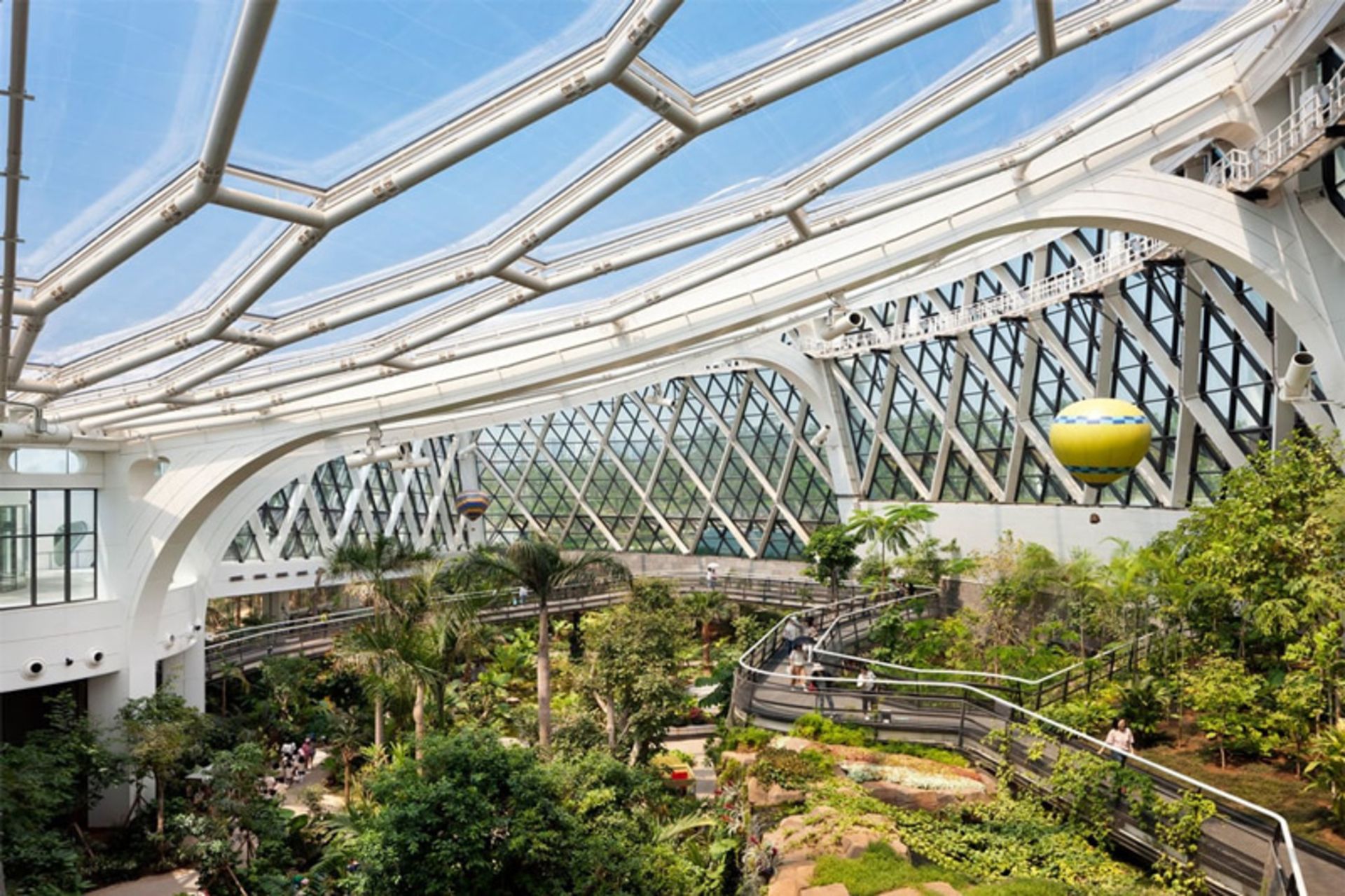 Tropical plants in the Seoul Botanical Garden