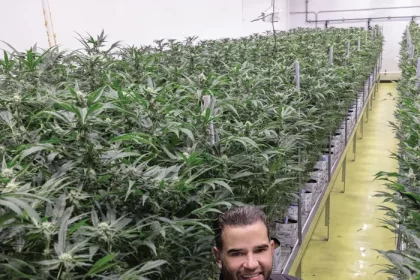 A prominent marijuana dealer was sent by Trump to Iraq!