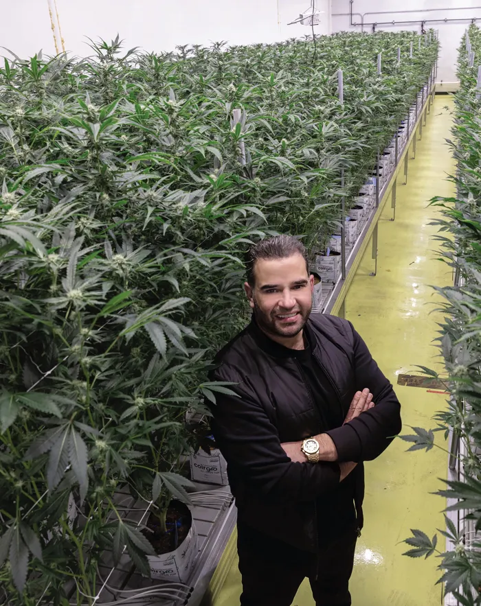 A prominent marijuana dealer was sent by Trump to Iraq!