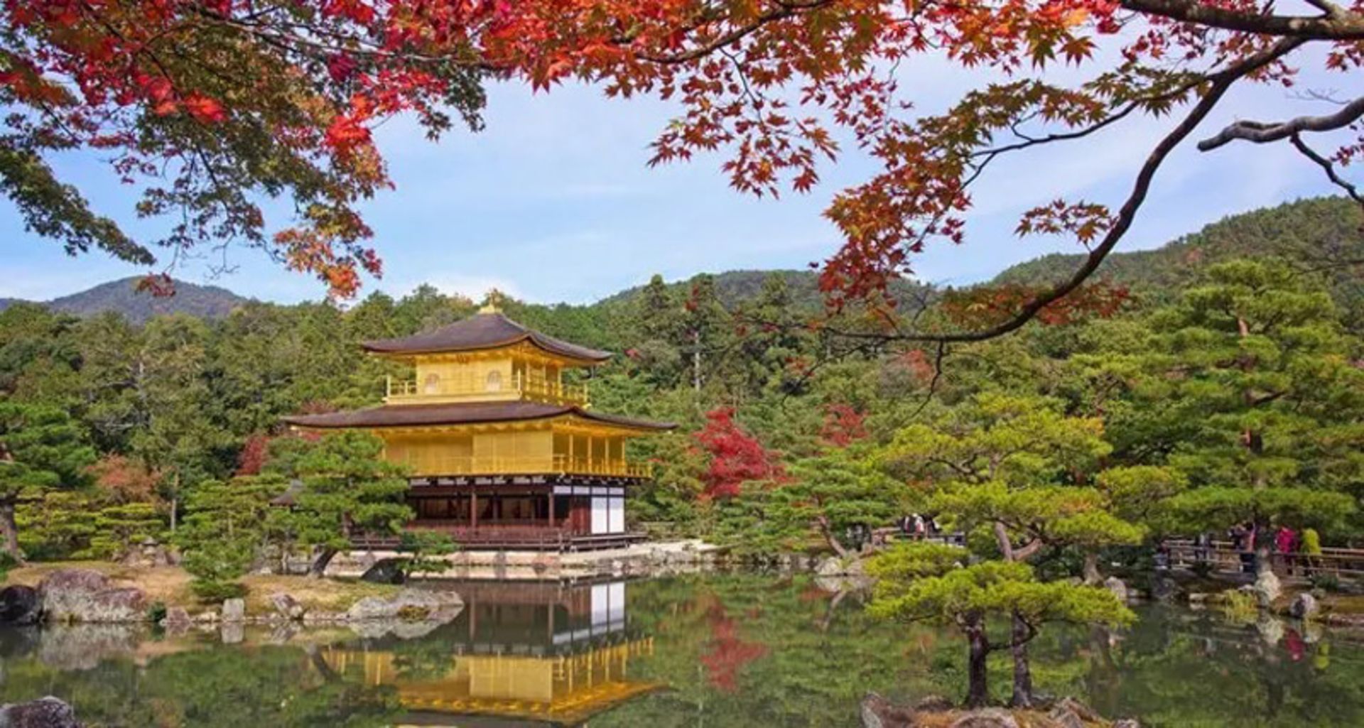 Kinkakoki Temple among lush trees