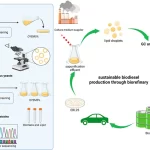 Identifying a new yeast with the ability to produce biofuels and environmental cleansing