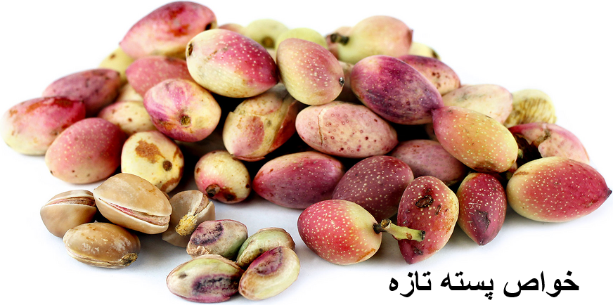 Properties of fresh pistachios