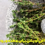 The properties of thyme for the stomach and intestines