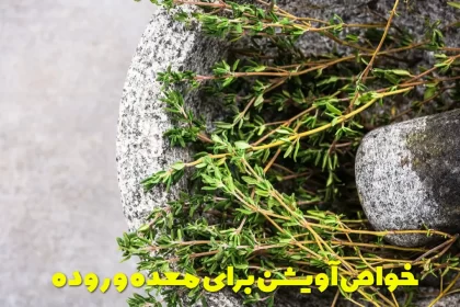 The properties of thyme for the stomach and intestines