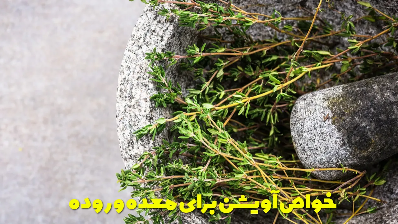 The properties of thyme for the stomach and intestines
