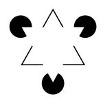 Your brain makes its own version of reality and this is the version that keeps you alive - Digino