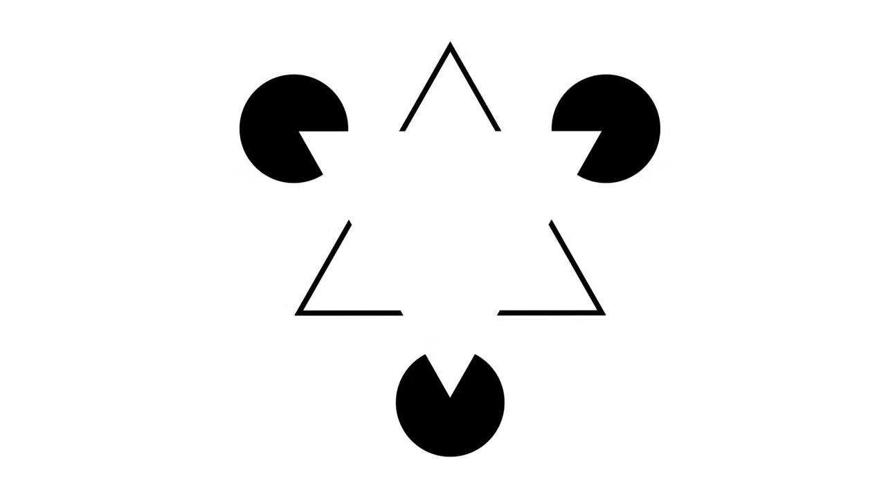 Your brain makes its own version of reality and this is the version that keeps you alive - Digino