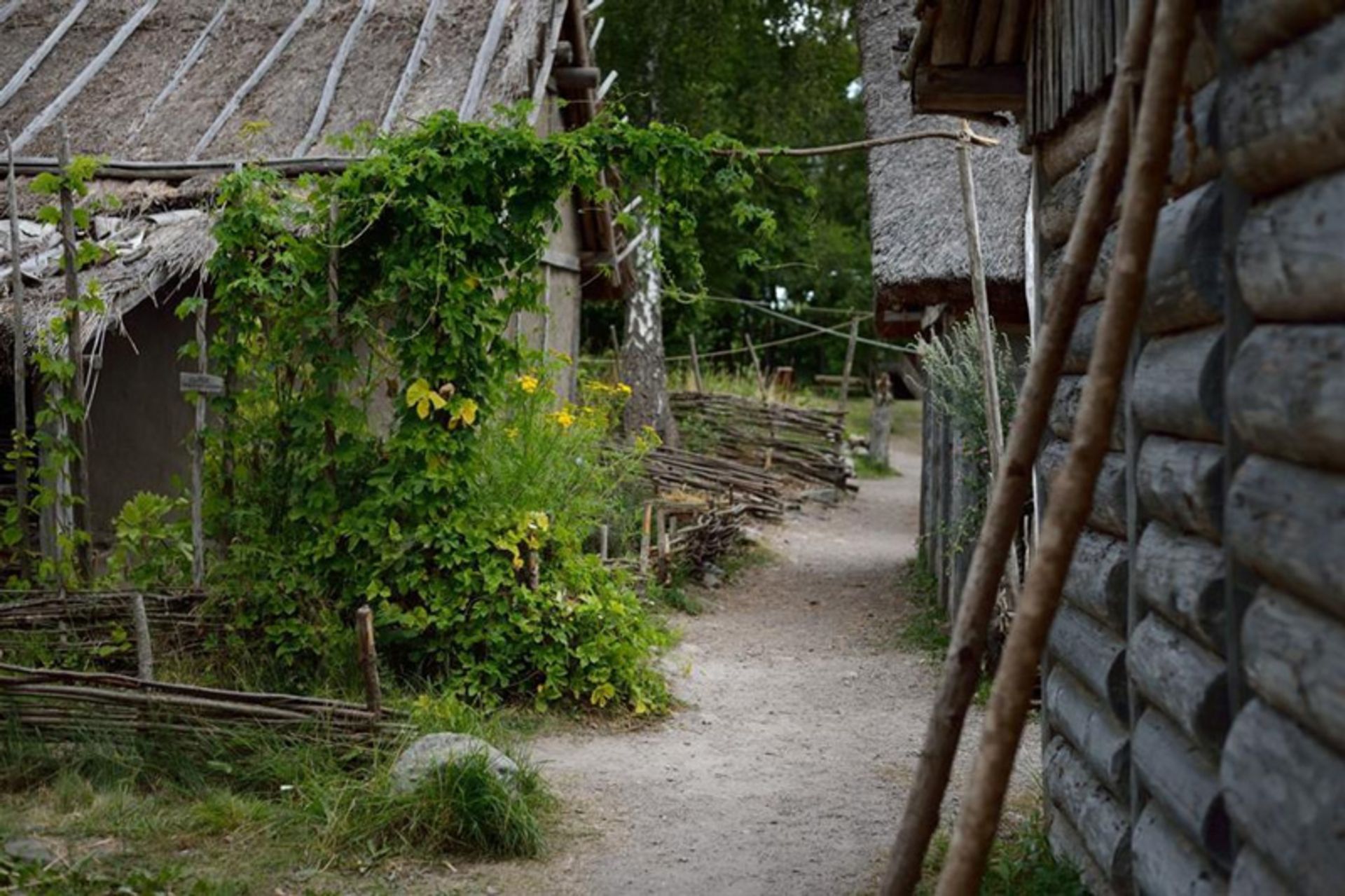 Birka textiles in Denmark