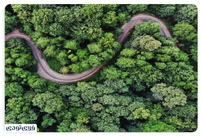 Golestan National Park