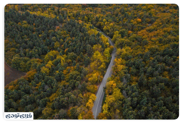 Access route to Hyrcanian forests