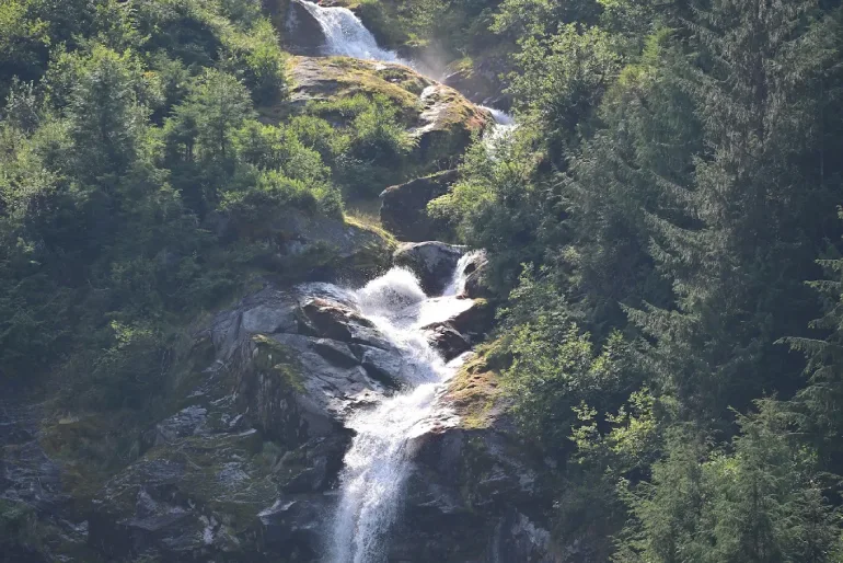 Great Bear Rainforest (Great Bear Rainforest, British Columbia, Canada)