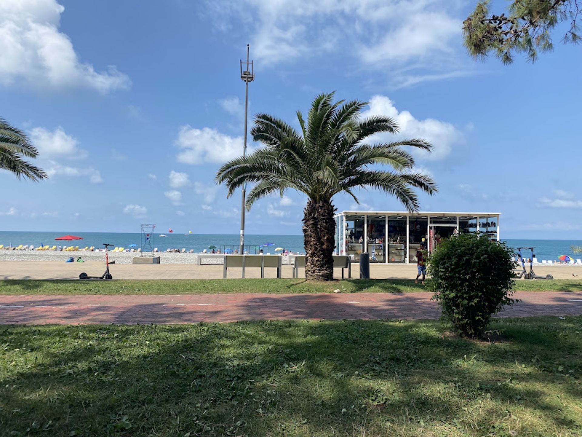 The green nature of the beaches of Batumi in summer
