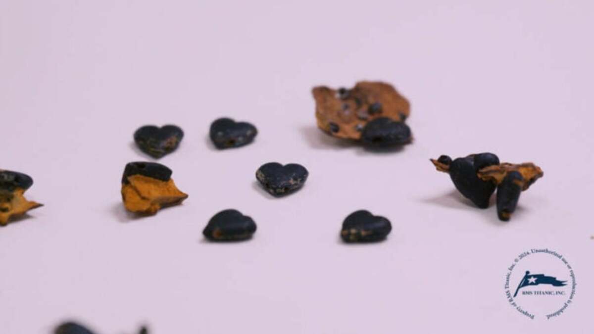 A Titanic passenger's necklace has been found among the ship's wreckage years later - Diginoy