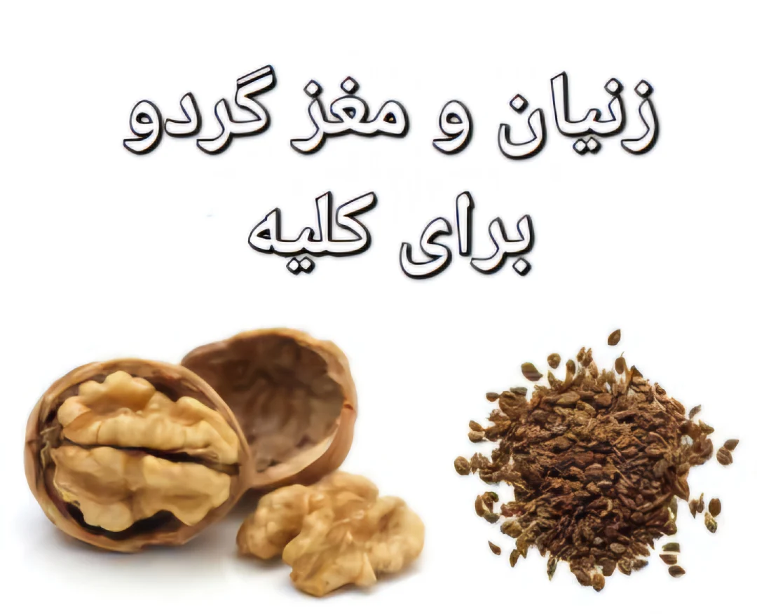 Properties of women and walnuts for kidney