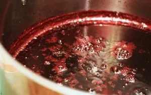 How to prepare homemade pomegranate paste with all practical tips