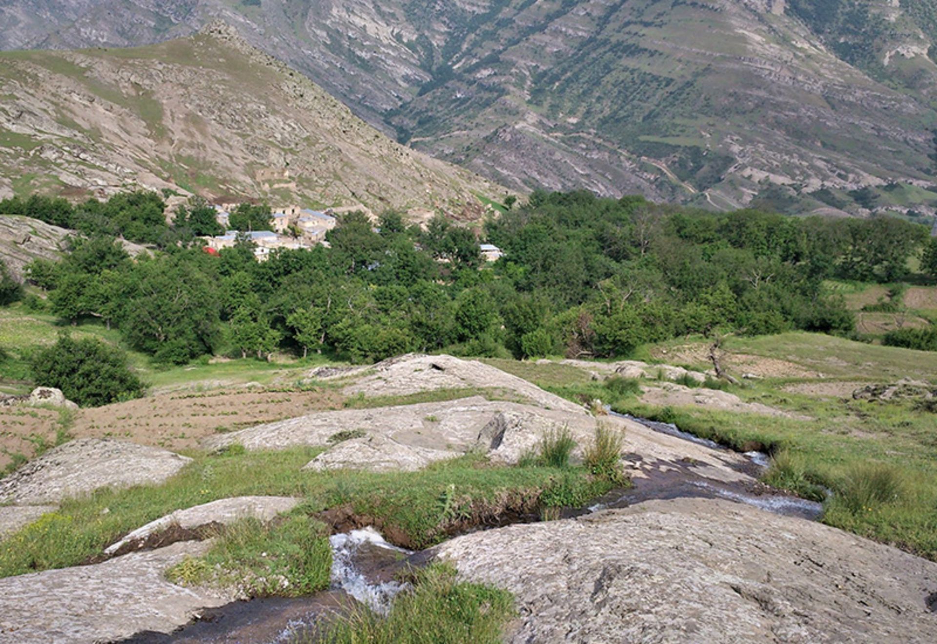The green nature of Jaban village