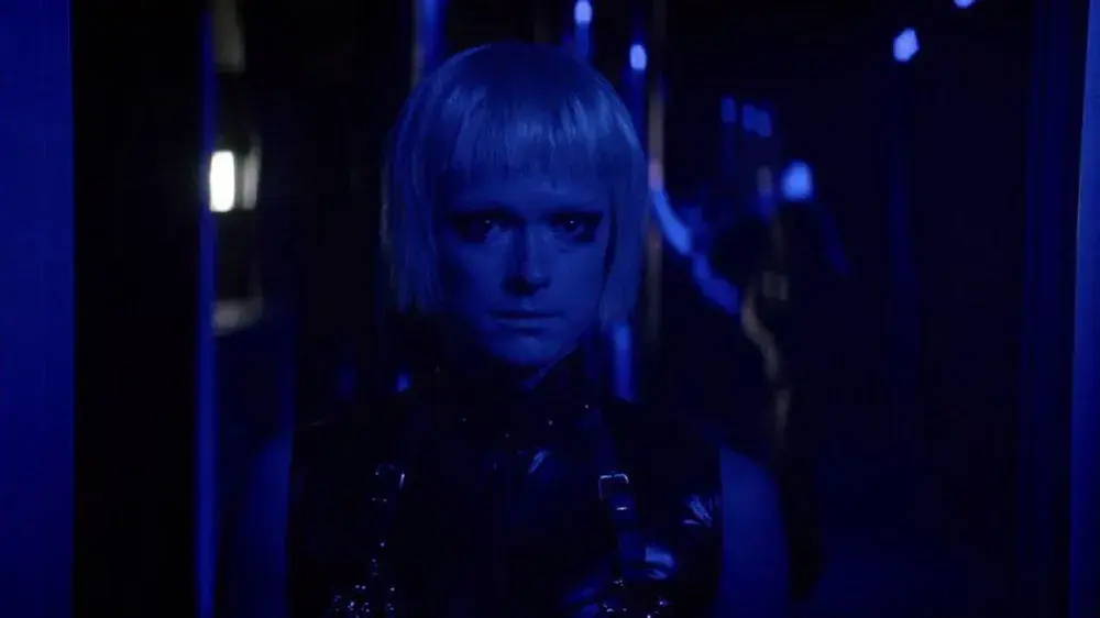 dogs don't wear pants