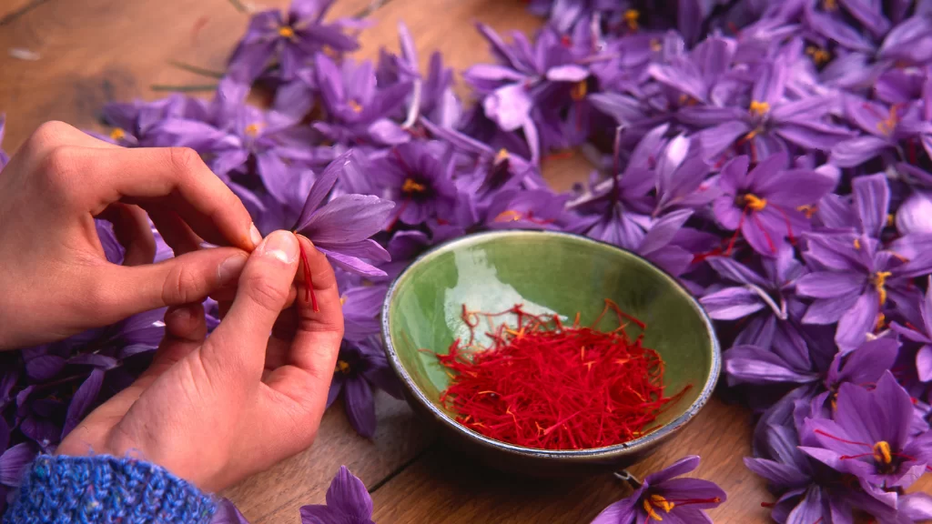 How to use saffron petals for skin