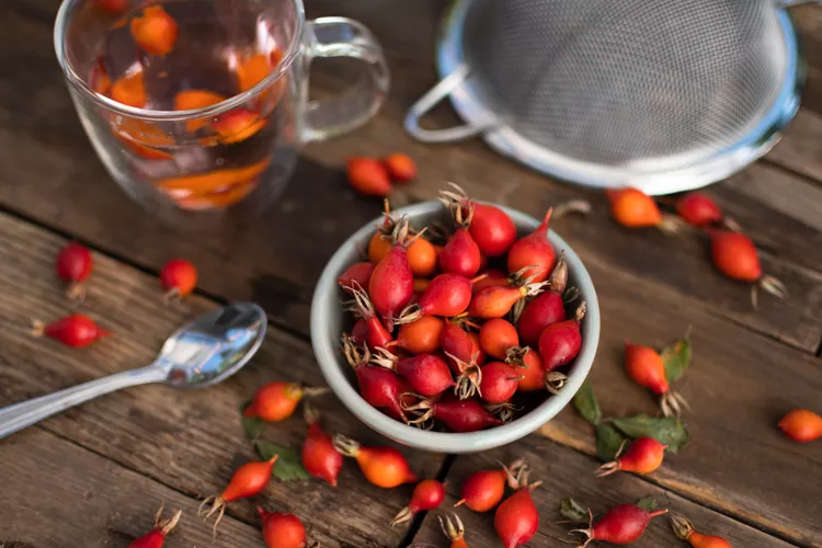  How to use nasturtium fruit