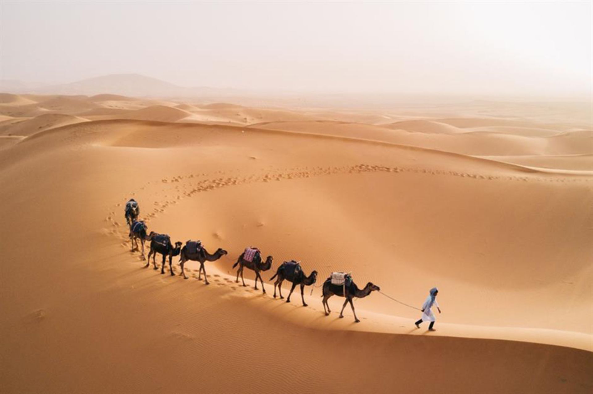 The passage of camels and camels through the desert