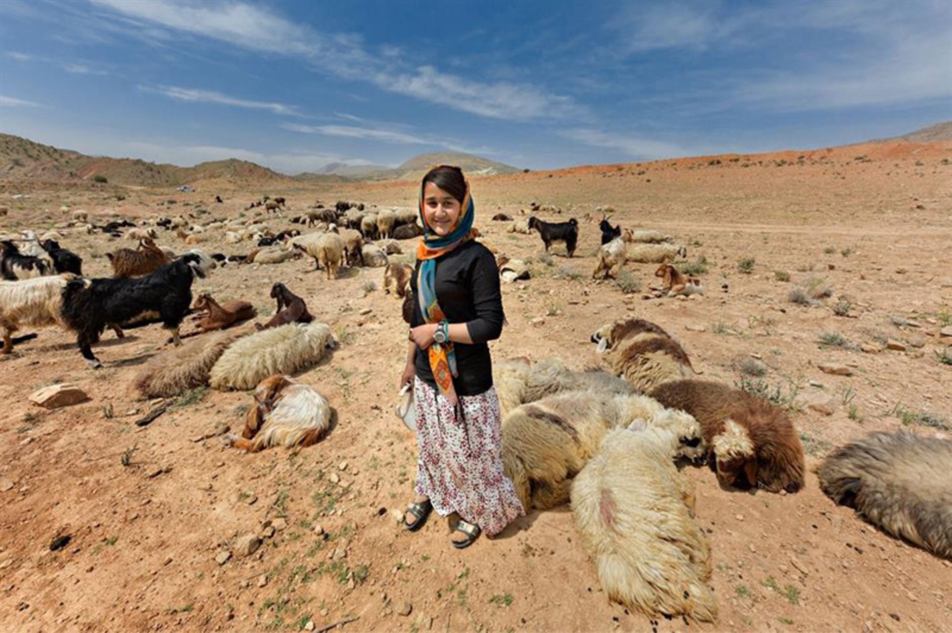 A girl from the Qashqai tribe next to a flock of sheep