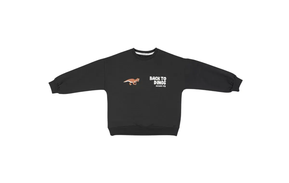 Fiorella boy's sweatshirt Jurassic dinosaur model