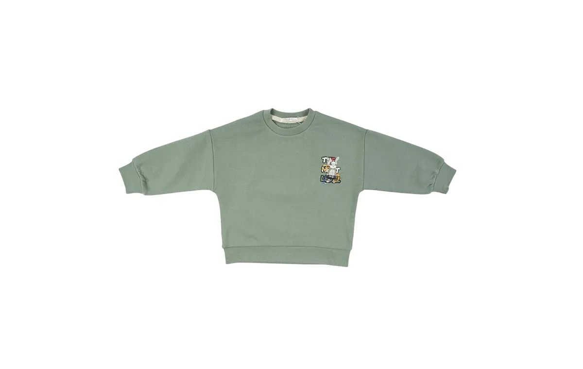 Fiorella boy's sweatshirt, hero rabbit model