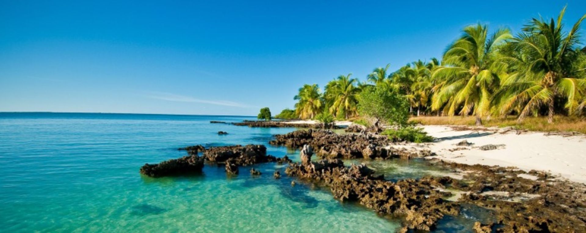 The coast of Mozambique and the surrounding green nature