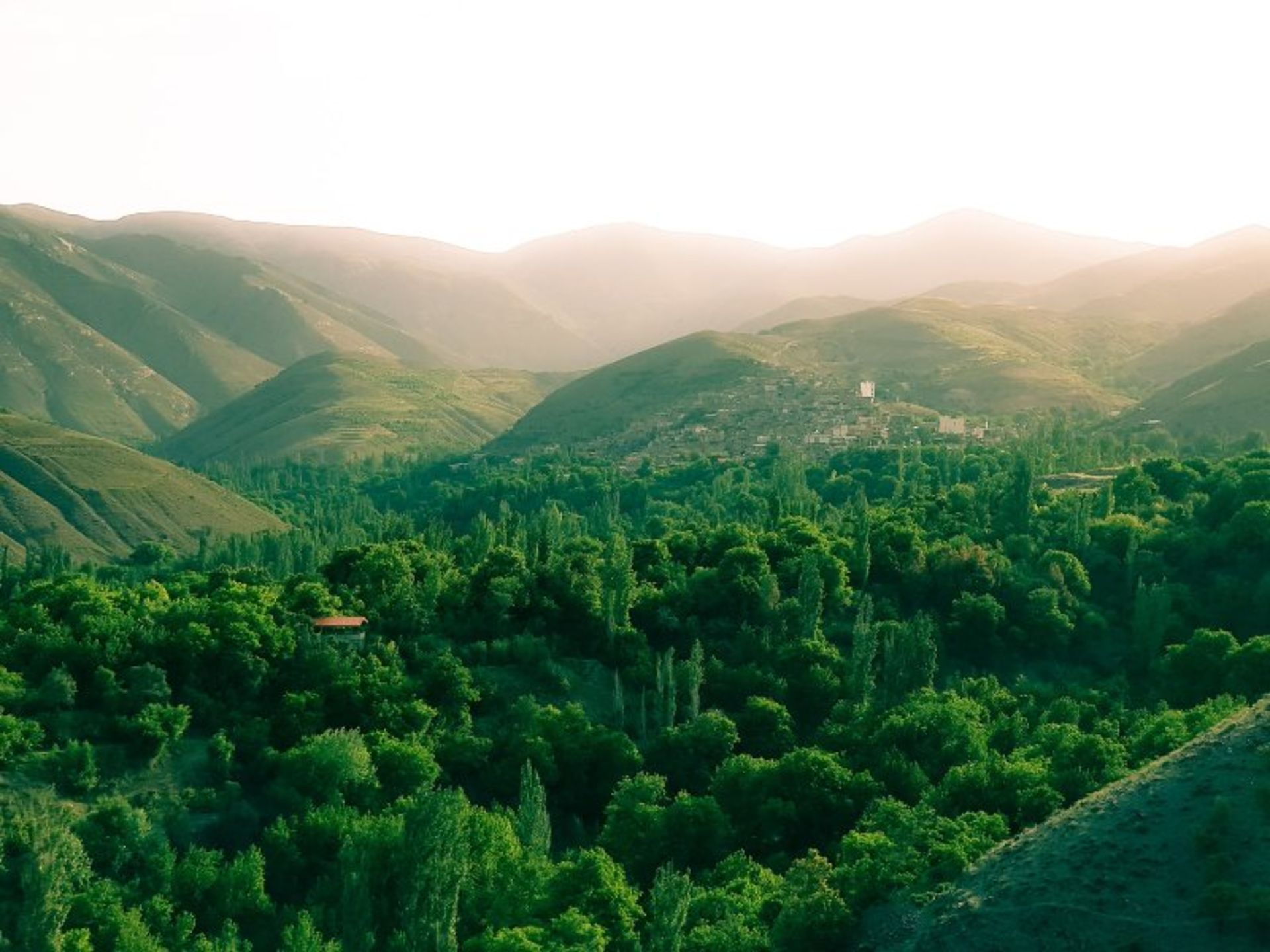 The green nature of Moghan village