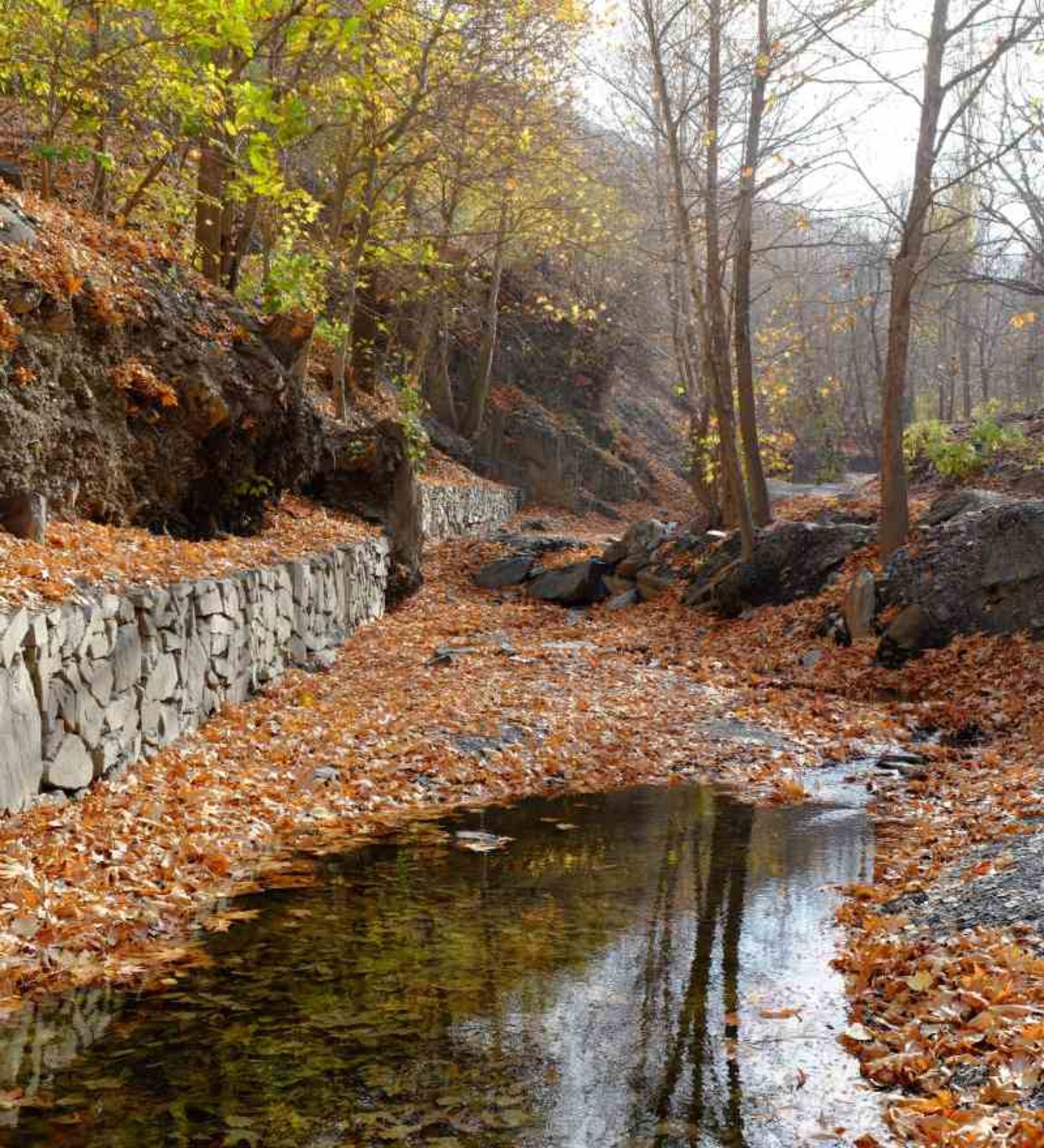 Autumn nature of Kurdine village